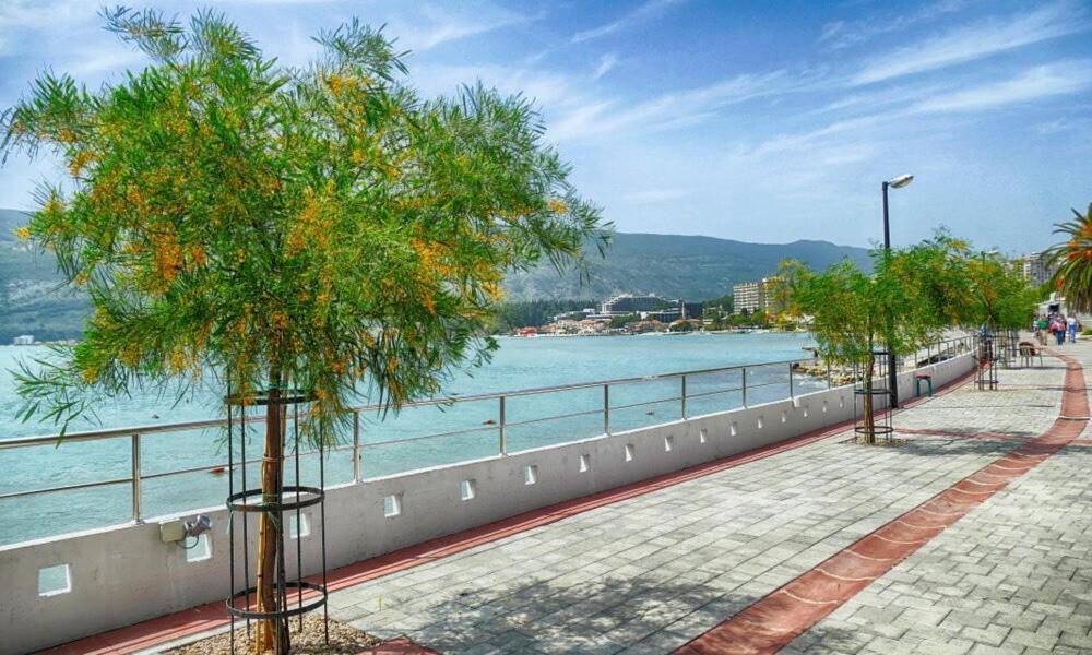 Villa Montanja Херцег-Новий Екстер'єр фото